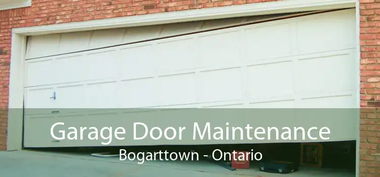 Garage Door Maintenance Bogarttown - Ontario
