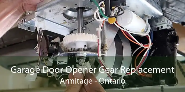 Garage Door Opener Gear Replacement Armitage - Ontario